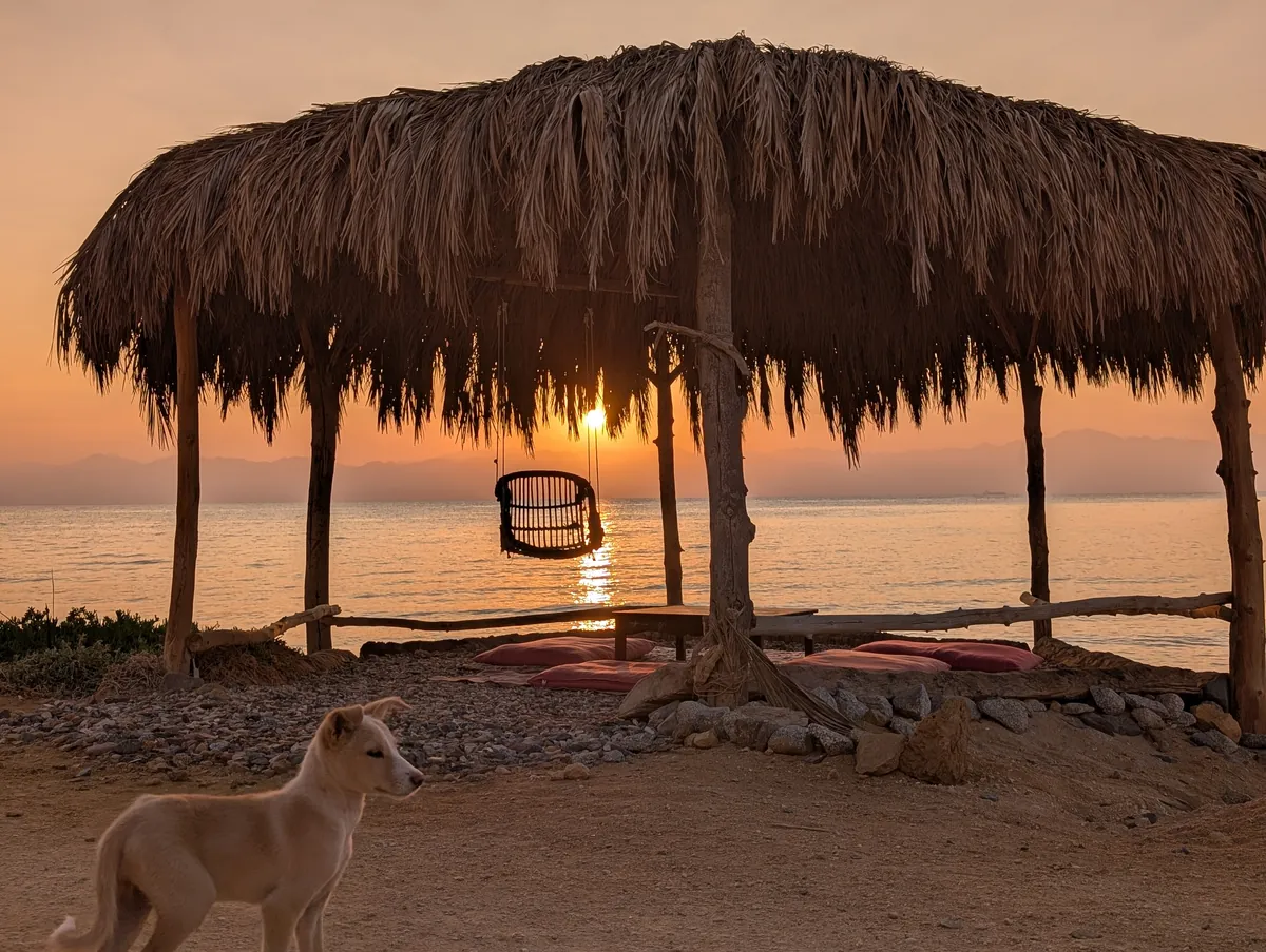 Strohdach-Pavilion und Hund am Strand des RockSea Camps bei Sonnenuntergang